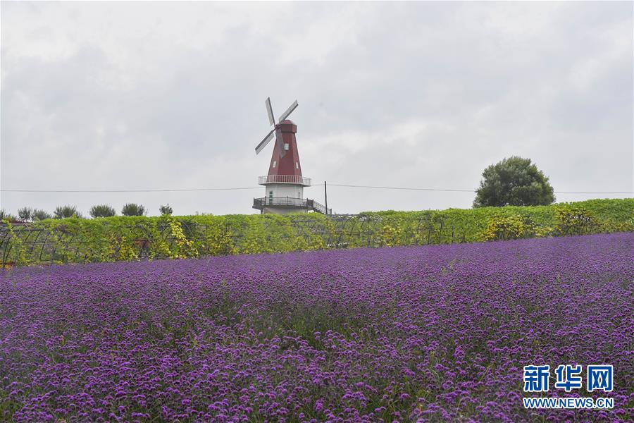 （新華全媒頭條&middot;走向我們的小康生活&middot;圖文互動）（6）黑土地上是我家&mdash;&mdash;在吉林，一瞥中國東北鄉(xiāng)村美麗未來