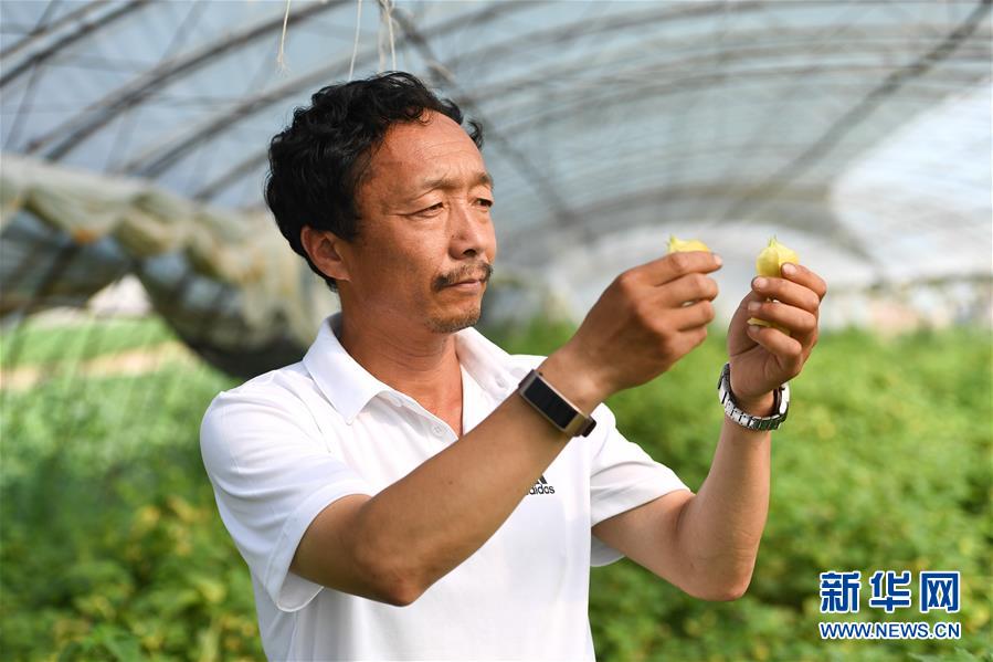 （新華全媒頭條&middot;走向我們的小康生活&middot;圖文互動）（7）黑土地上是我家&mdash;&mdash;在吉林，一瞥中國東北鄉(xiāng)村美麗未來