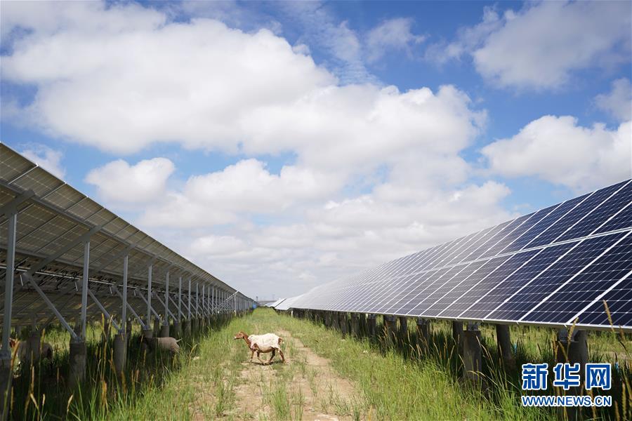 （新華全媒頭條&middot;走向我們的小康生活&middot;決戰(zhàn)決勝脫貧攻堅(jiān)&middot;圖文互動(dòng)）（2）高原上綻放的光芒&mdash;&mdash;來自青海攻克深度貧困堡壘的故事