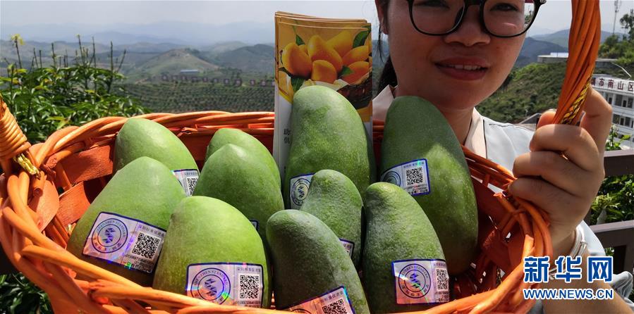 （決戰(zhàn)決勝脫貧攻堅(jiān)&middot;圖文互動(dòng)）（7）同飲一江水 攜手&ldquo;斬窮根&rdquo;&mdash;&mdash;深圳對(duì)口廣西河池、百色扶貧協(xié)作見聞