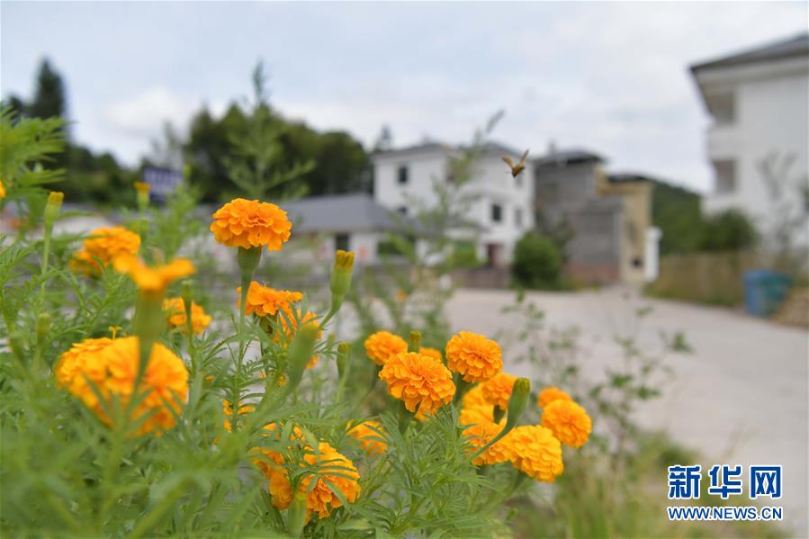 （走向我們的小康生活&middot;圖文互動(dòng)）（3）從廢棄礦山到生態(tài)&ldquo;福地&rdquo;&mdash;&mdash;江西尋烏戰(zhàn)荒記 