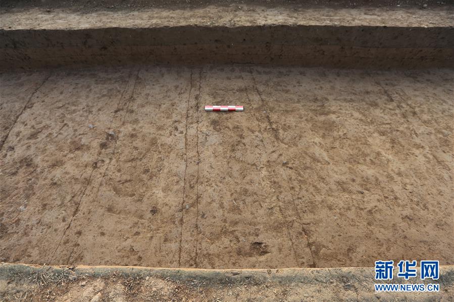 (圖文互動)(2)漢魏洛陽城東西向大道重現(xiàn)天日 見證500多年間王朝更迭