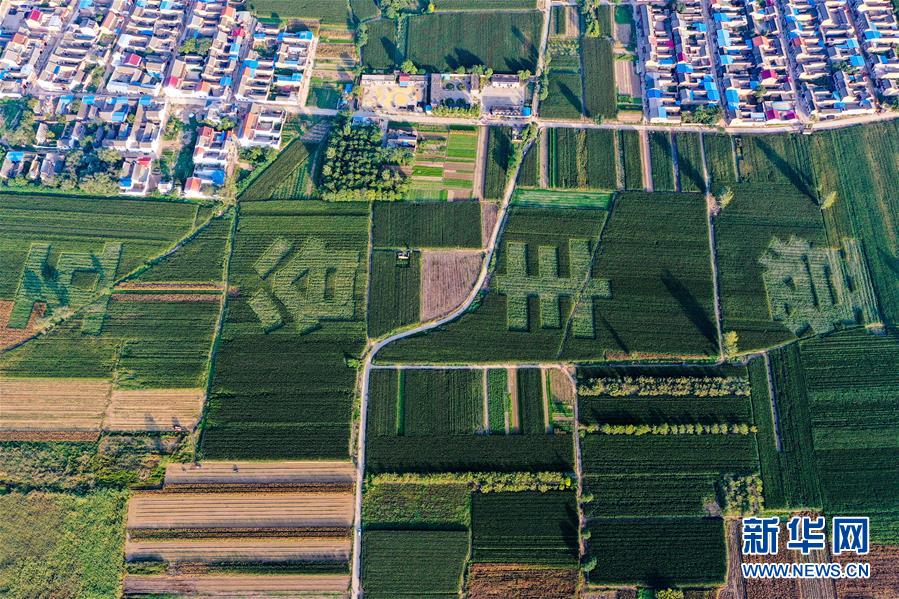 (新華全媒頭條·圖文互動(dòng))(3)天道酬勤的大地贊歌——寫(xiě)在第三個(gè)中國(guó)農(nóng)民豐收節(jié)之際