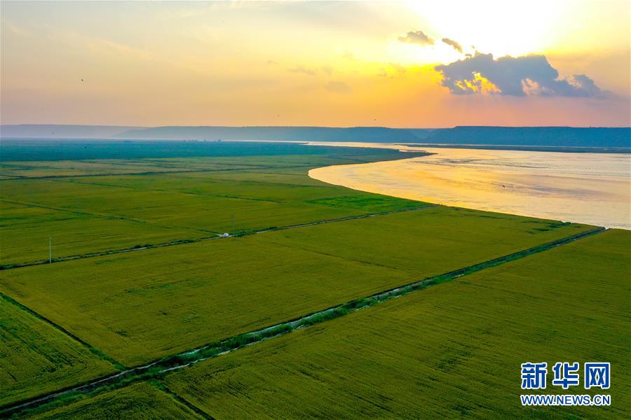 (新華全媒頭條·圖文互動(dòng))(4)天道酬勤的大地贊歌——寫(xiě)在第三個(gè)中國(guó)農(nóng)民豐收節(jié)之際