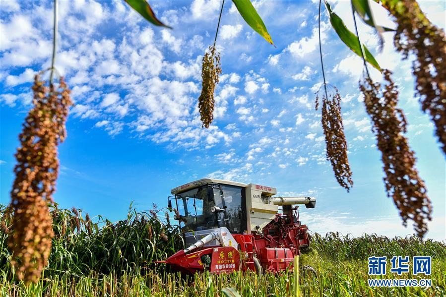 (新華全媒頭條·圖文互動(dòng))(5)天道酬勤的大地贊歌——寫(xiě)在第三個(gè)中國(guó)農(nóng)民豐收節(jié)之際