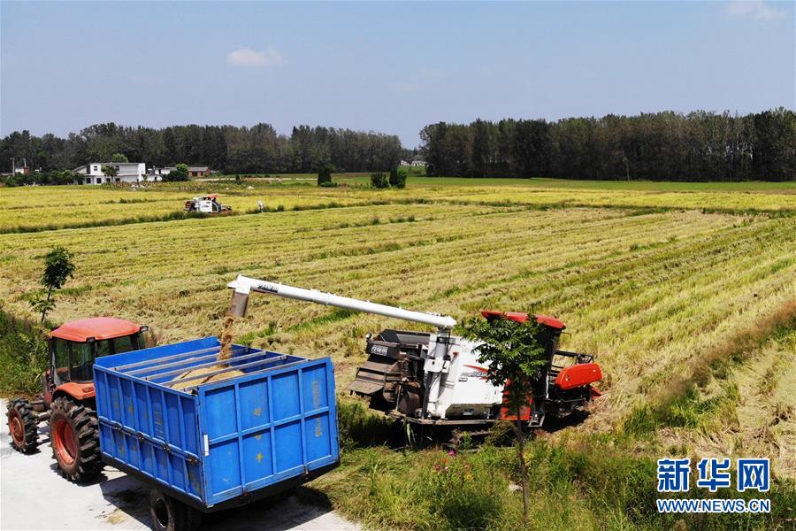 (新華全媒頭條·圖文互動(dòng))(9)天道酬勤的大地贊歌——寫(xiě)在第三個(gè)中國(guó)農(nóng)民豐收節(jié)之際