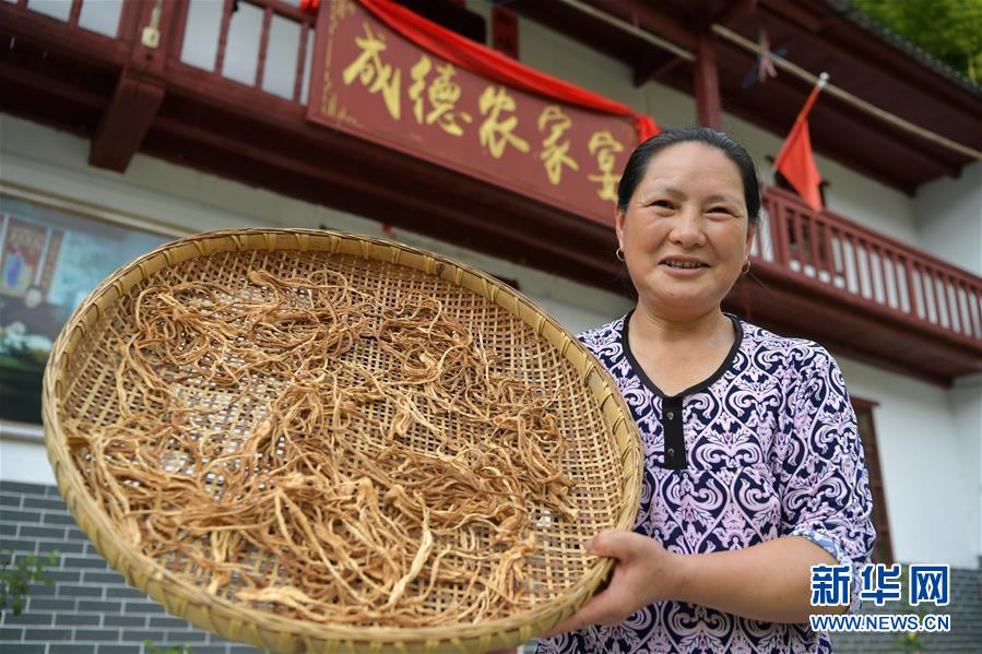 （新華全媒頭條&middot;走向我們的小康生活&middot;圖文互動）（4）神山村&ldquo;神奇&rdquo;何在？&mdash;&mdash;井岡山深處覓答案