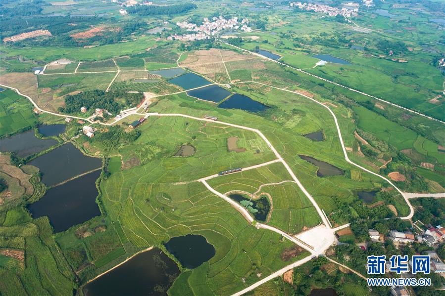 （新華全媒頭條&middot;走向我們的小康生活&middot;圖文互動）（1）特殊之年，荊楚大地書寫不平凡的答卷