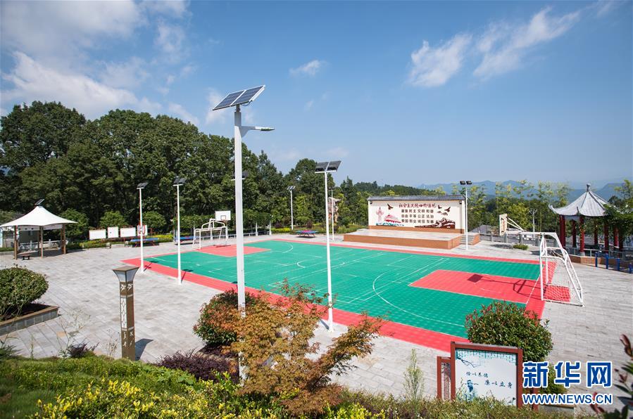 （新華全媒頭條&middot;走向我們的小康生活&middot;圖文互動）（6）特殊之年，荊楚大地書寫不平凡的答卷