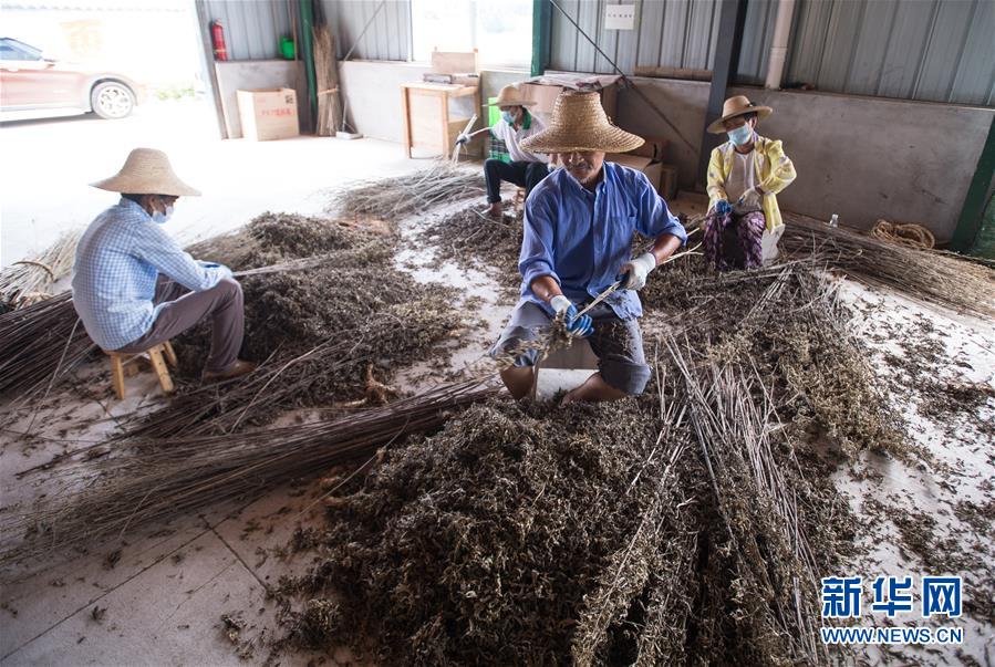 （新華全媒頭條&middot;走向我們的小康生活&middot;圖文互動）（10）特殊之年，荊楚大地書寫不平凡的答卷