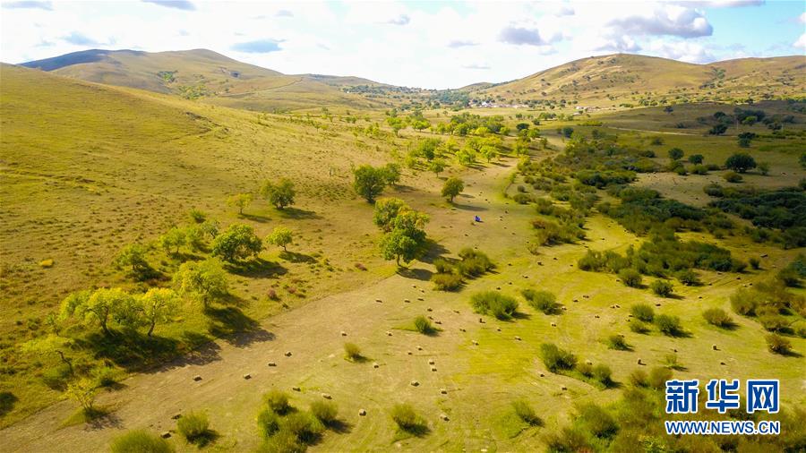 （在習(xí)近平新時代中國特色社會主義思想指引下&mdash;&mdash;新時代新作為新篇章&middot;習(xí)近平總書記關(guān)切事&middot;圖文互動）（4）綠意，在黃沙中鋪展&mdash;&mdash;我國防沙治沙紀(jì)實
