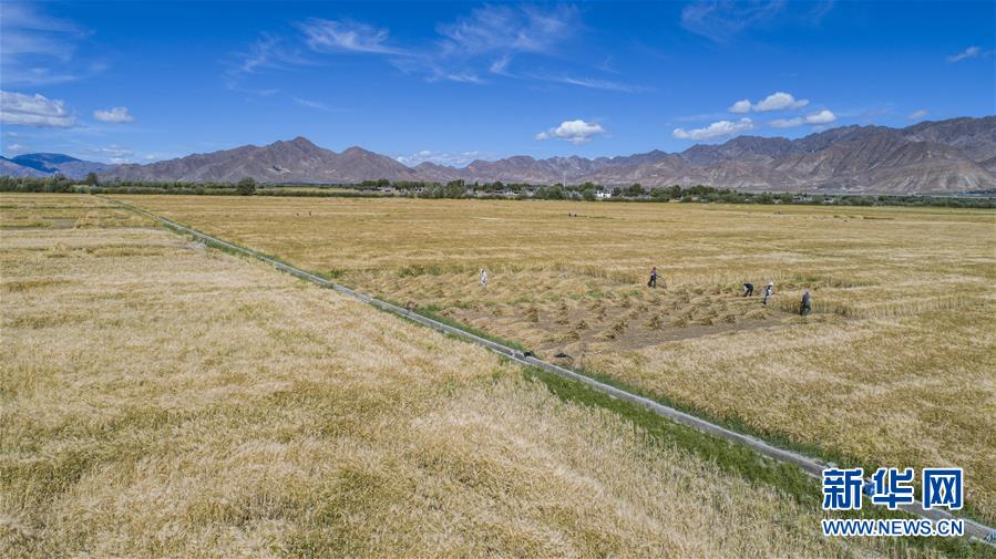 （新華全媒頭條&middot;走向我們的小康生活&middot;圖文互動(dòng)）（11）扎西德勒，我們的新家園&mdash;&mdash;西藏易地扶貧搬遷搬出幸福美好新生活