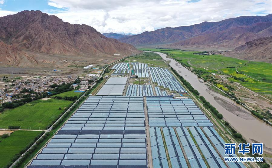 (走向我們的小康生活·決戰(zhàn)決勝脫貧攻堅(jiān)·圖文互動(dòng))(2)高原喜見“壽光綠”——“世界屋脊”上的蔬菜發(fā)展奇跡