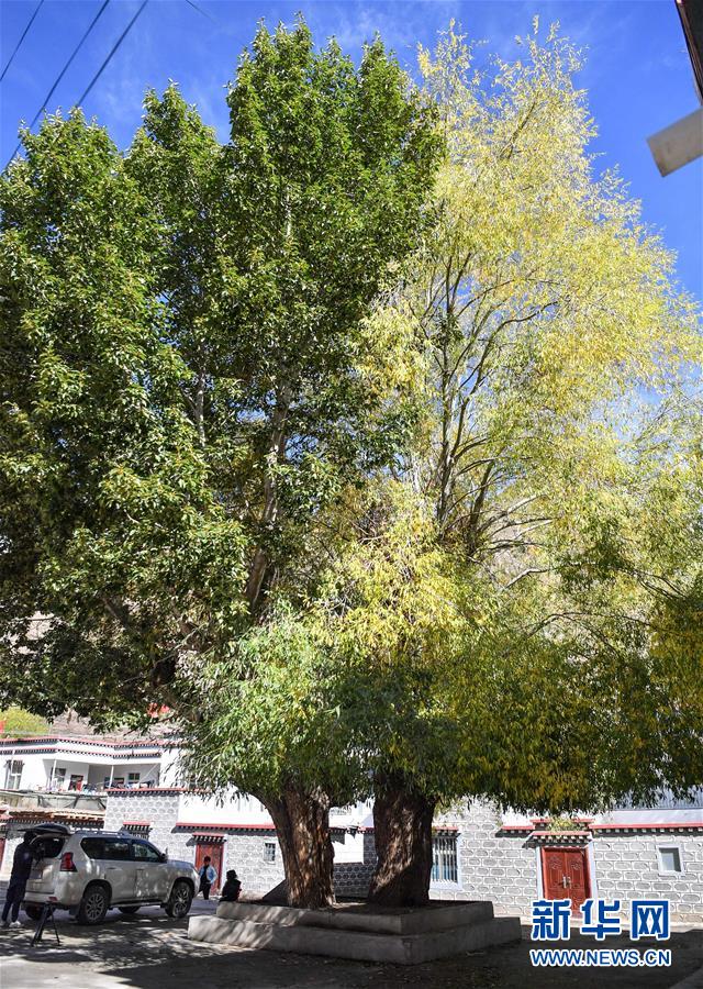 （圖文互動）（2）歷史遺跡的述說&mdash;&mdash;西藏昌都源遠流長的民族團結(jié)故事