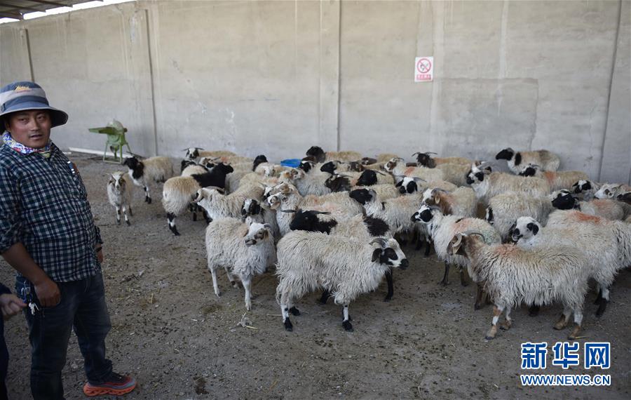 （集中連片特困地區(qū)貧困村調研行&middot;圖文互動）（4）長江源村人的兩個家和幸福夢&mdash;&mdash;青海格爾木市長江源村脫貧調查