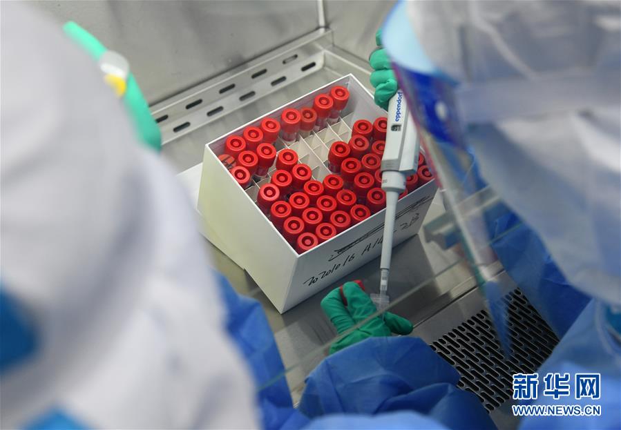 (聚焦疫情防控·圖文互動(dòng))(3)青島全員核酸檢測基本完成