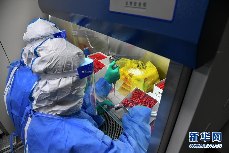 (聚焦疫情防控·圖文互動(dòng))(4)青島全員核酸檢測基本完成