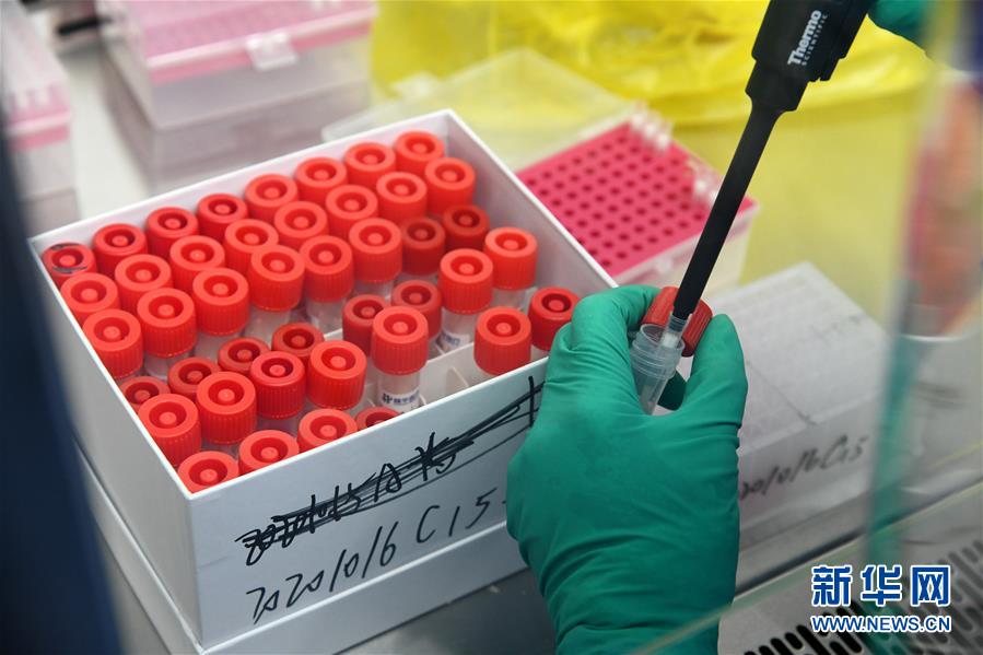 (聚焦疫情防控·圖文互動(dòng))(5)青島全員核酸檢測基本完成