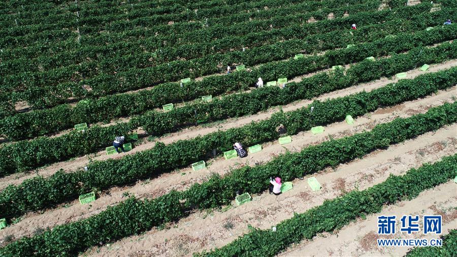 （新華全媒頭條&middot;百萬(wàn)大移民&middot;圖文互動(dòng)）（8）從大山深處到大河之畔&mdash;&mdash;寧夏持續(xù)移民百萬(wàn)&ldquo;拔窮根&rdquo;啟示