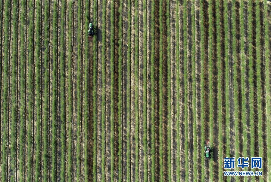 （新華全媒頭條&middot;百萬(wàn)大移民&middot;圖文互動(dòng)）（10）從大山深處到大河之畔&mdash;&mdash;寧夏持續(xù)移民百萬(wàn)&ldquo;拔窮根&rdquo;啟示