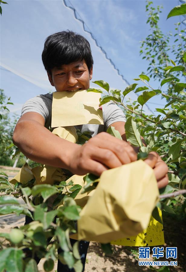 （習(xí)近平的小康故事&middot;圖文互動）（2）&ldquo;我很期盼的一件事，就是讓鄉(xiāng)親們飽餐一頓肉&rdquo;&mdash;&mdash;習(xí)近平和脫貧攻堅(jiān)的故事