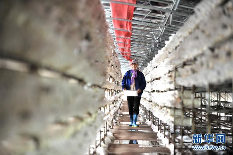 （習(xí)近平的小康故事&middot;圖文互動）（6）&ldquo;我很期盼的一件事，就是讓鄉(xiāng)親們飽餐一頓肉&rdquo;&mdash;&mdash;習(xí)近平和脫貧攻堅(jiān)的故事