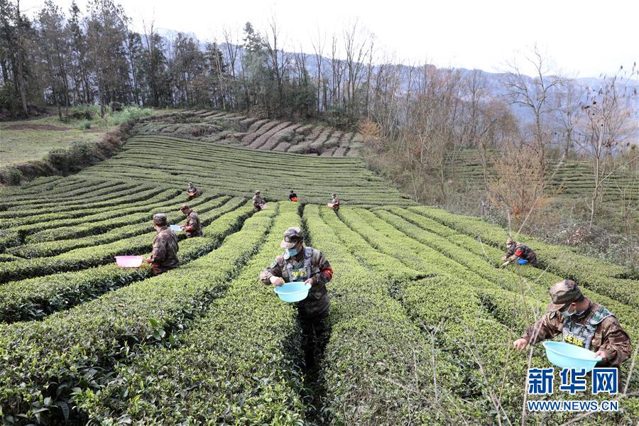 （圖文互動(dòng)）（2）百舸爭(zhēng)流千帆競(jìng)&mdash;&mdash;&ldquo;十三五&rdquo;期間國防動(dòng)員事業(yè)取得歷史性突破