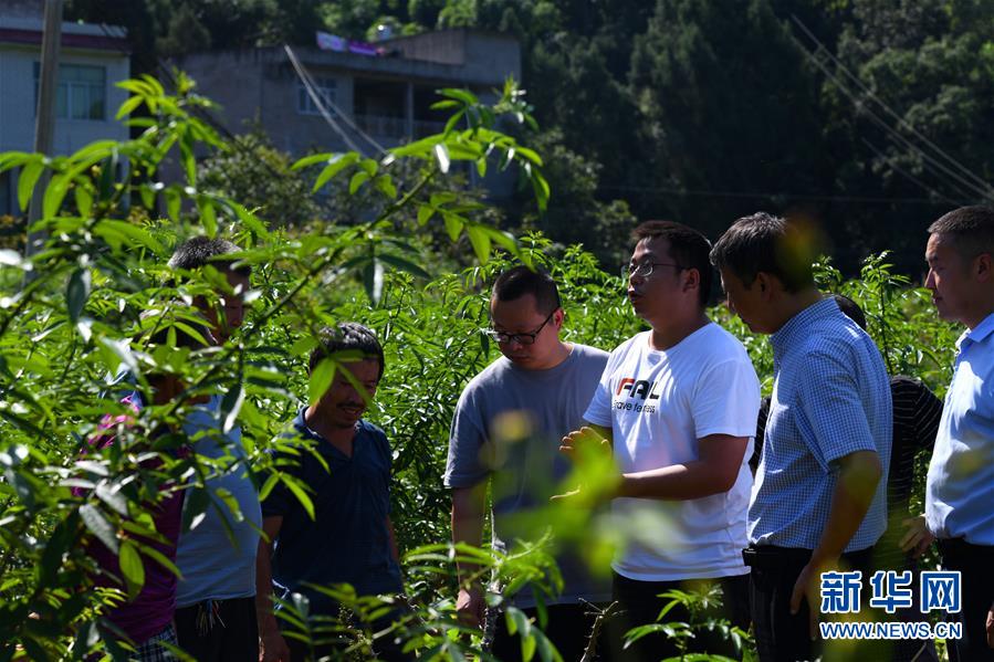 （決戰(zhàn)決勝脫貧攻堅(jiān)&middot;圖文互動(dòng)）（3）&ldquo;堵槍眼&rdquo;的脫貧戰(zhàn)怎么打？&mdash;&mdash;繼光村見(jiàn)聞