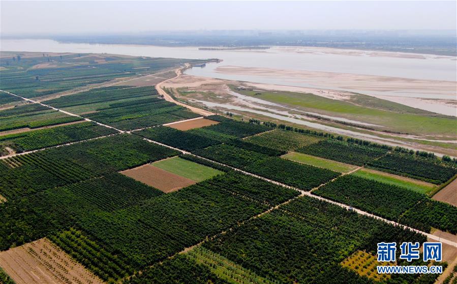 (新華全媒頭條·圖文互動(dòng))(9)從“四亂”突出到生態(tài)修復(fù) 黃河漸成中原“綠飄帶”