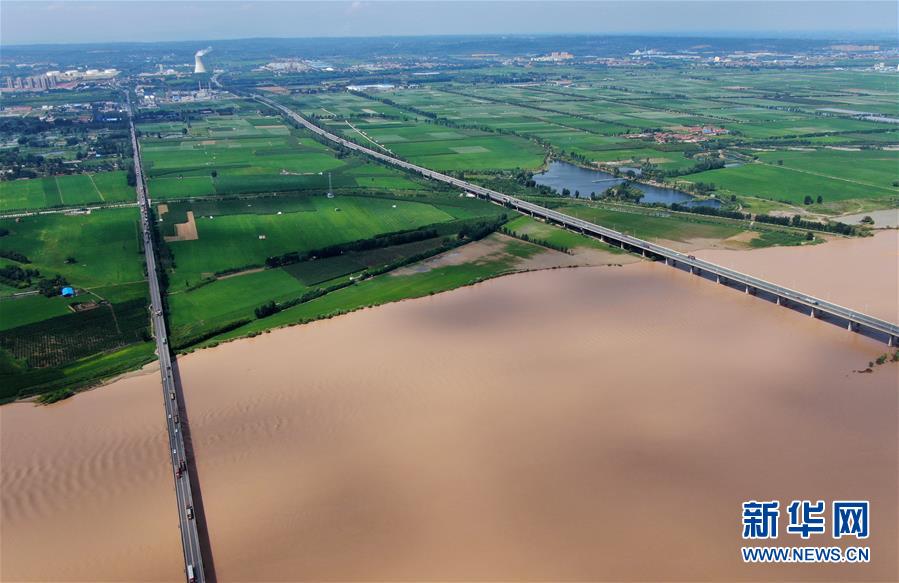 (新華全媒頭條·圖文互動(dòng))(16)從“四亂”突出到生態(tài)修復(fù) 黃河漸成中原“綠飄帶”