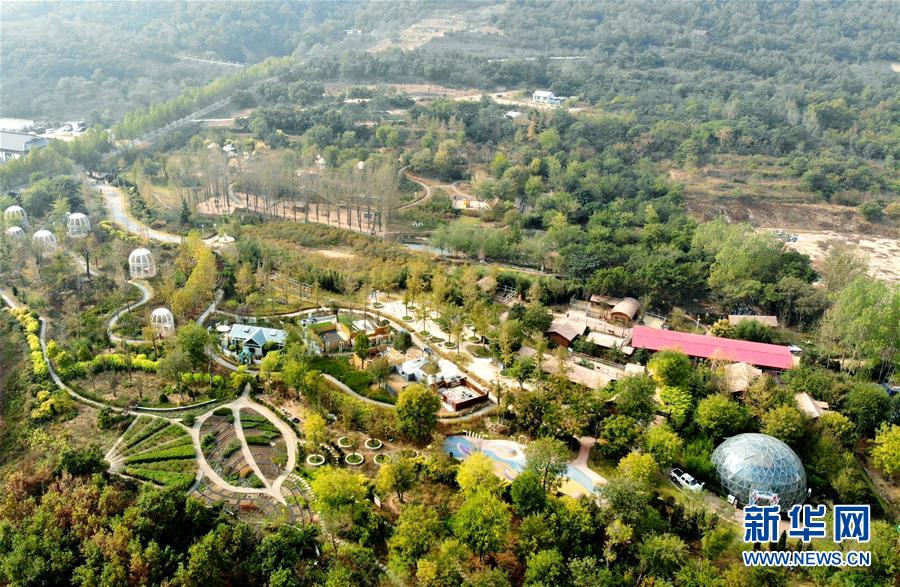 (全面建成小康社會“百城千縣萬村調研行”·圖文互動)(2)青島西海岸新區(qū)以“生態(tài)酵母”激活鄉(xiāng)村振興