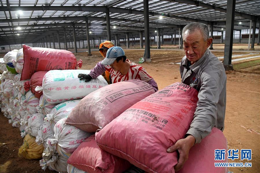 (全面建成小康社會“百城千縣萬村調研行”·圖文互動)(6)青島西海岸新區(qū)以“生態(tài)酵母”激活鄉(xiāng)村振興