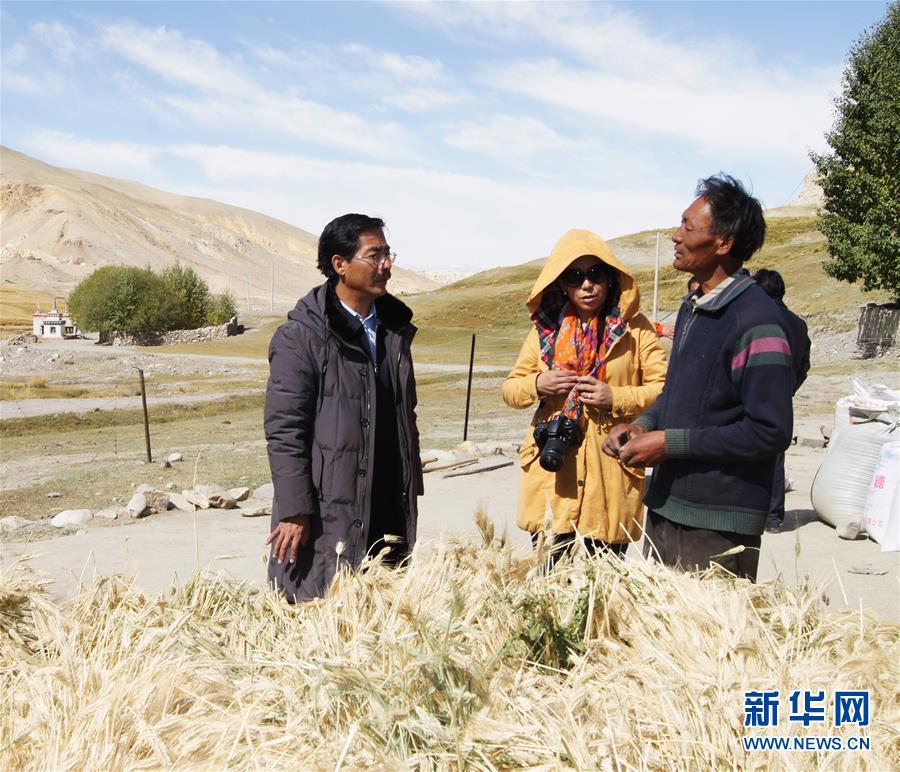 (新華全媒頭條·圖文互動(dòng))(6)愿做高原一粒種 化作金穗撒人間——追記我國青稞研究專家尼瑪扎西