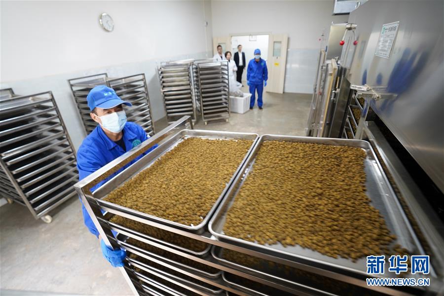 (決戰(zhàn)決勝脫貧攻堅(jiān)·圖文互動(dòng))(3)重慶三峽庫區(qū)從“中華藥庫”里探尋脫貧致富“良方”