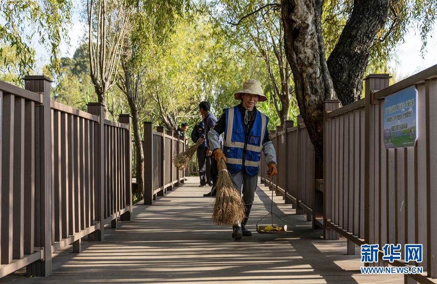 (五中全會精神在基層·圖文互動)(3)一湖清水映“綠”廊——高原明珠洱海“顏值”再提升
