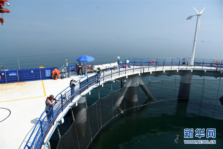 （新華全媒頭條&middot;圖文互動(dòng)）（5）&ldquo;拔&rdquo;海起牧場(chǎng) &ldquo;耕&rdquo;海新牧歌