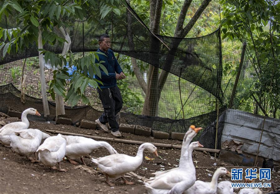 （新華全媒頭條&middot;兩會精神看落實&middot;圖文互動）（8）培育新機 開辟新局&mdash;&mdash;落實全國兩會精神激發(fā)經(jīng)濟發(fā)展新動能述評