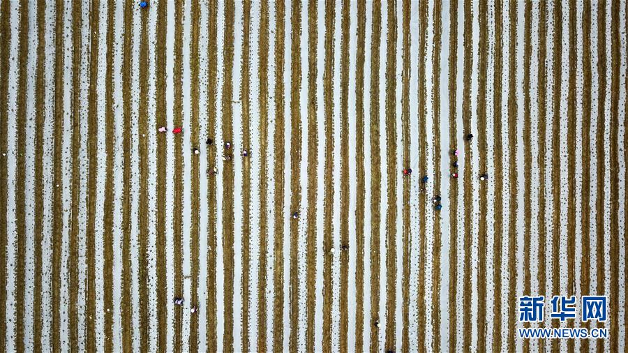 (在習(xí)近平新時(shí)代中國特色社會主義思想指引下——新時(shí)代新作為新篇章·習(xí)近平總書記關(guān)切事·圖文互動(dòng))(6)啃下最后的硬骨頭——脫貧攻堅(jiān)掛牌督戰(zhàn)進(jìn)行時(shí)