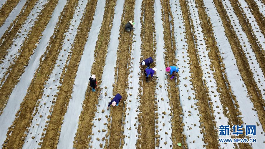 (在習(xí)近平新時(shí)代中國特色社會主義思想指引下——新時(shí)代新作為新篇章·習(xí)近平總書記關(guān)切事·圖文互動(dòng))(8)啃下最后的硬骨頭——脫貧攻堅(jiān)掛牌督戰(zhàn)進(jìn)行時(shí)