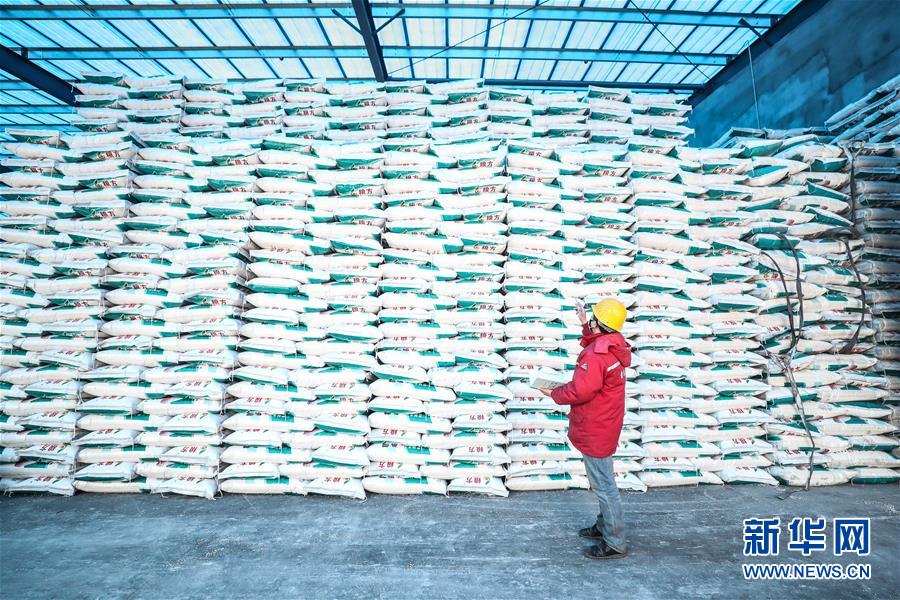 (在習近平新時代中國特色社會主義思想指引下——新時代新作為新篇章·習近平總書記關切事·圖文互動)(4)春耕忙 信心足——谷雨時節(jié)走馬東北直擊糧事