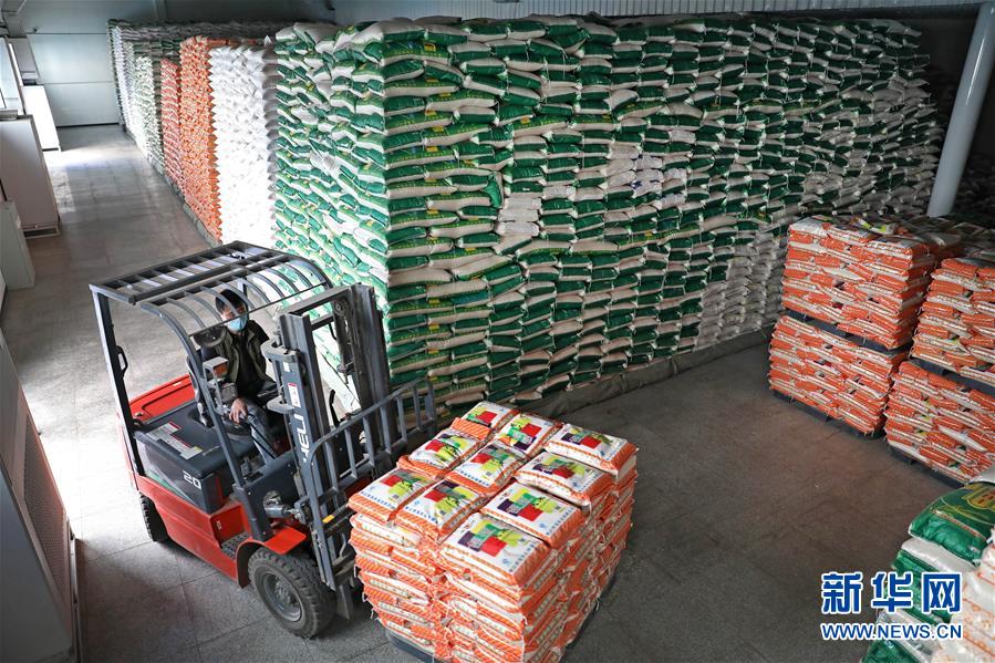 (在習近平新時代中國特色社會主義思想指引下——新時代新作為新篇章·習近平總書記關切事·圖文互動)(9)春耕忙 信心足——谷雨時節(jié)走馬東北直擊糧事