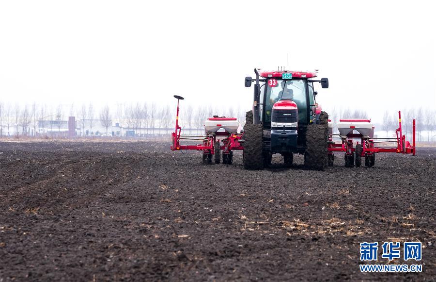 (在習近平新時代中國特色社會主義思想指引下——新時代新作為新篇章·習近平總書記關切事·圖文互動)(10)春耕忙 信心足——谷雨時節(jié)走馬東北直擊糧事