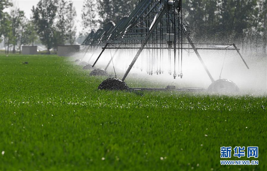 （在習(xí)近平新時(shí)代中國(guó)特色社會(huì)主義思想指引下&mdash;&mdash;新時(shí)代新作為新篇章&middot;習(xí)近平總書(shū)記關(guān)切事&middot;圖文互動(dòng)）（3）新農(nóng)事、新希望&mdash;&mdash;夏收前田間新動(dòng)態(tài)掃描