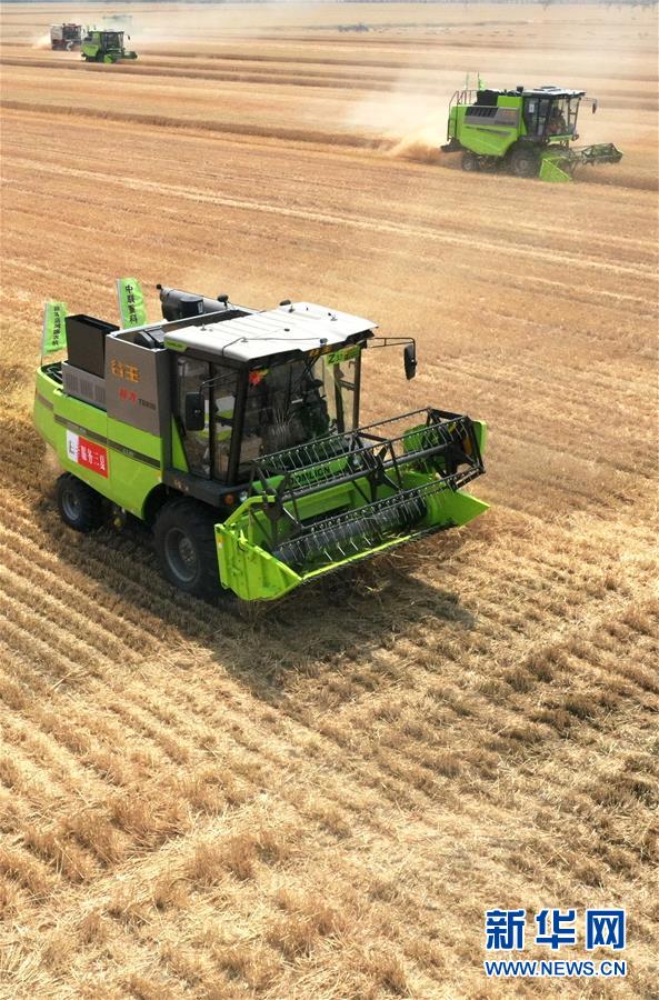 (在習(xí)近平新時(shí)代中國(guó)特色社會(huì)主義思想指引下——新時(shí)代新作為新篇章·習(xí)近平總書(shū)記關(guān)切事·圖文互動(dòng))(13)讓農(nóng)民挑上“金扁擔(dān)”——農(nóng)業(yè)現(xiàn)代化的生動(dòng)實(shí)踐掃描