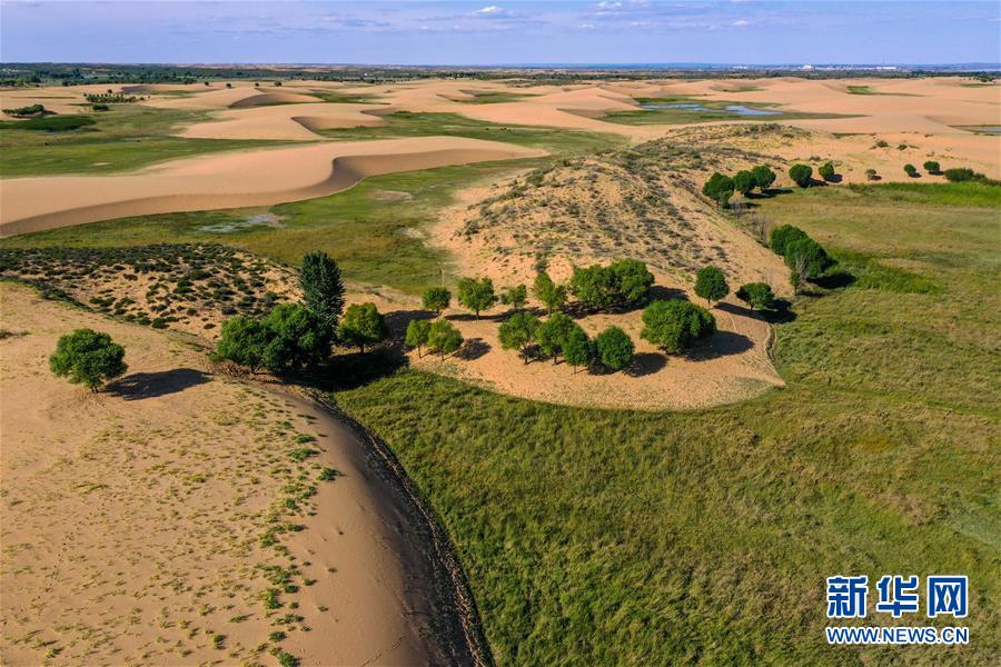 （在習(xí)近平新時(shí)代中國(guó)特色社會(huì)主義思想指引下&mdash;&mdash;新時(shí)代新作為新篇章&middot;習(xí)近平總書記關(guān)切事&middot;圖文互動(dòng)）（10）綠意，在黃沙中鋪展&mdash;&mdash;我國(guó)防沙治沙紀(jì)實(shí)