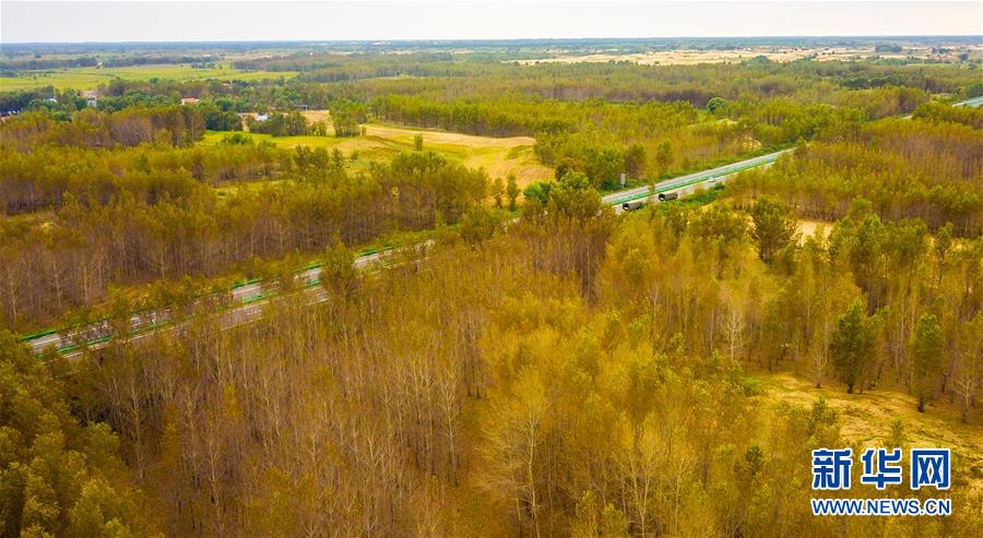 （在習(xí)近平新時(shí)代中國(guó)特色社會(huì)主義思想指引下&mdash;&mdash;新時(shí)代新作為新篇章&middot;習(xí)近平總書記關(guān)切事&middot;圖文互動(dòng)）（3）綠意，在黃沙中鋪展&mdash;&mdash;我國(guó)防沙治沙紀(jì)實(shí)