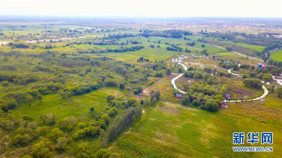 （在習(xí)近平新時(shí)代中國(guó)特色社會(huì)主義思想指引下&mdash;&mdash;新時(shí)代新作為新篇章&middot;習(xí)近平總書記關(guān)切事&middot;圖文互動(dòng)）（1）綠意，在黃沙中鋪展&mdash;&mdash;我國(guó)防沙治沙紀(jì)實(shí)