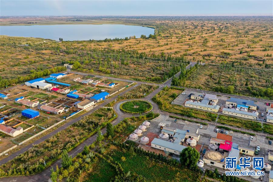 （在習(xí)近平新時(shí)代中國(guó)特色社會(huì)主義思想指引下&mdash;&mdash;新時(shí)代新作為新篇章&middot;習(xí)近平總書記關(guān)切事&middot;圖文互動(dòng)）（12）綠意，在黃沙中鋪展&mdash;&mdash;我國(guó)防沙治沙紀(jì)實(shí)