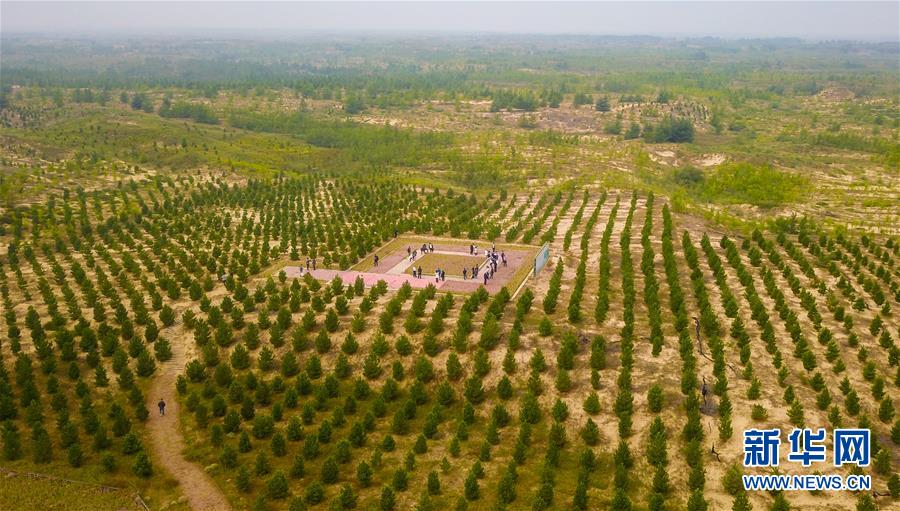 （在習(xí)近平新時(shí)代中國(guó)特色社會(huì)主義思想指引下&mdash;&mdash;新時(shí)代新作為新篇章&middot;習(xí)近平總書記關(guān)切事&middot;圖文互動(dòng)）（2）綠意，在黃沙中鋪展&mdash;&mdash;我國(guó)防沙治沙紀(jì)實(shí)