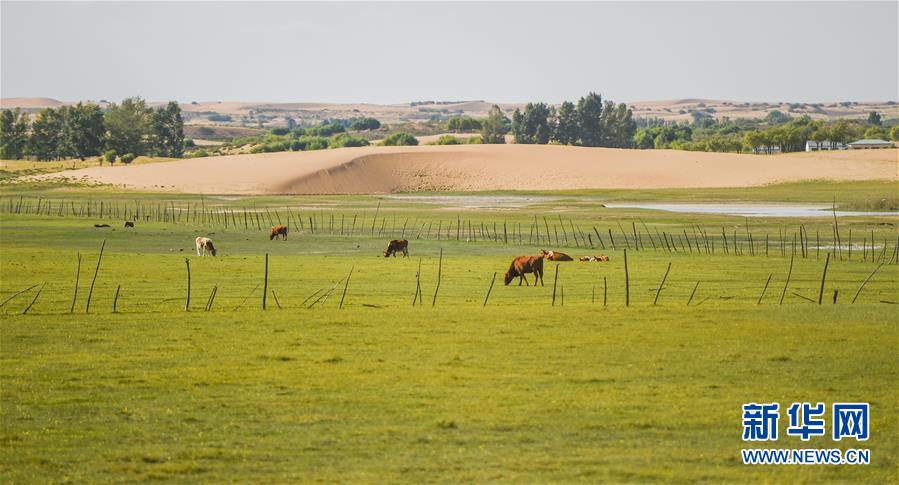 （在習(xí)近平新時(shí)代中國(guó)特色社會(huì)主義思想指引下&mdash;&mdash;新時(shí)代新作為新篇章&middot;習(xí)近平總書記關(guān)切事&middot;圖文互動(dòng)）（9）綠意，在黃沙中鋪展&mdash;&mdash;我國(guó)防沙治沙紀(jì)實(shí)